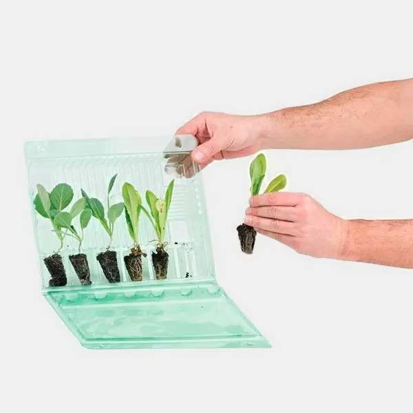 Transportetasche für 6 Stecklinge