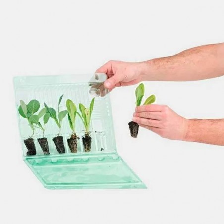 Transportetasche für 6 Stecklinge