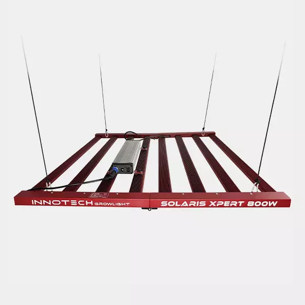 LED Solaris Xpert 800W Innotech Oberteil