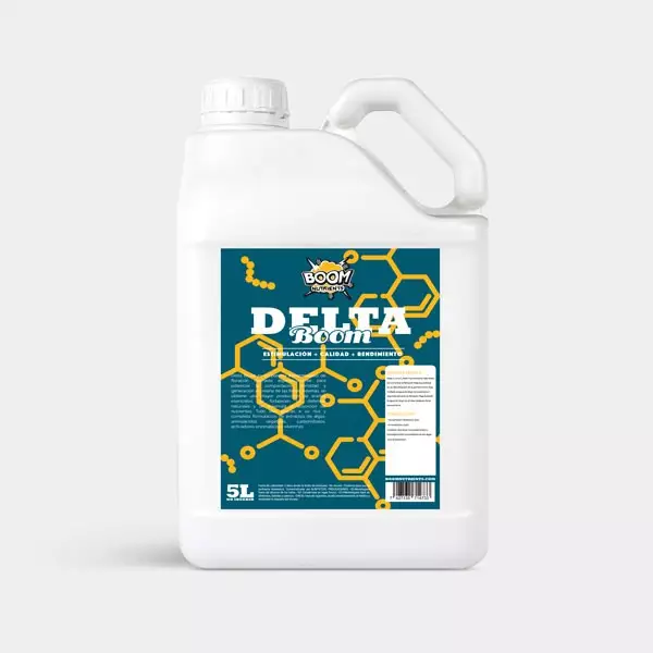 Delta Boom