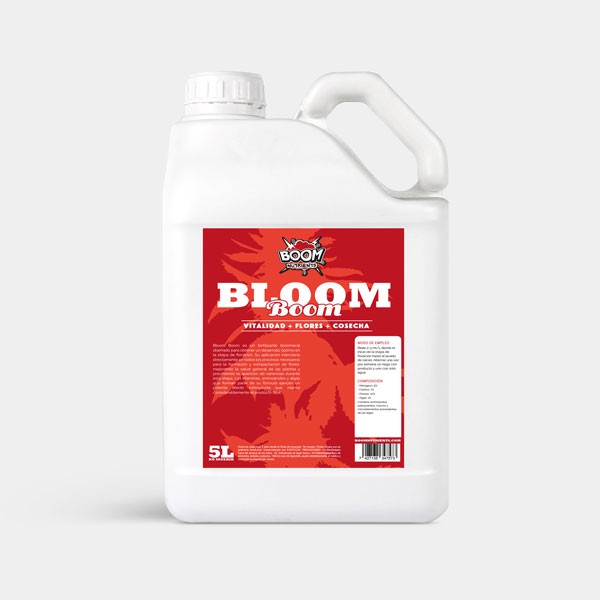 Blüte Boom