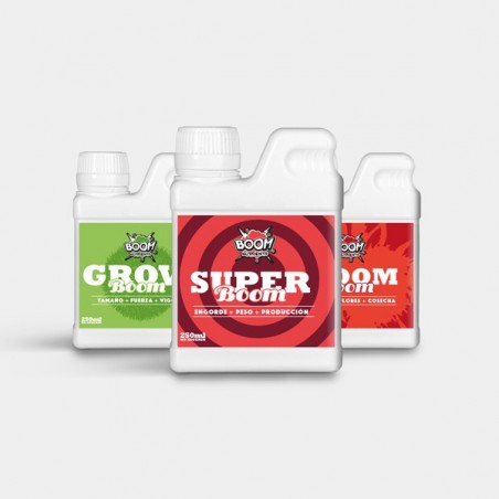 Boom Tripack maximale Blütenproduktion - GB The Green Brand