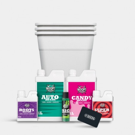 Autoflowering-Kit Cannabis-Günstiger Anbau