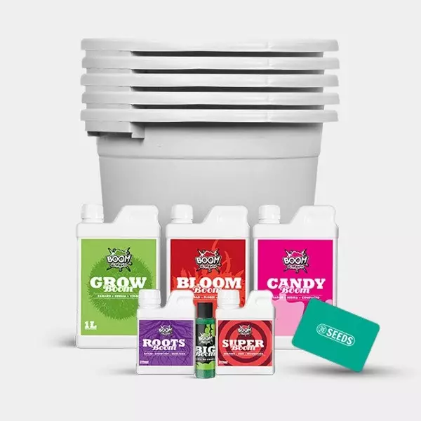 Feminized Complete Set