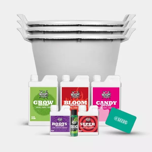 Feminized Complete Set