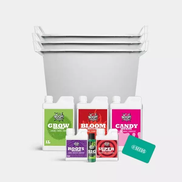 Feminized Complete Set