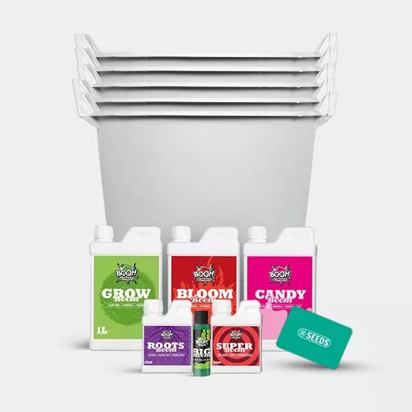 Feminized Complete Set