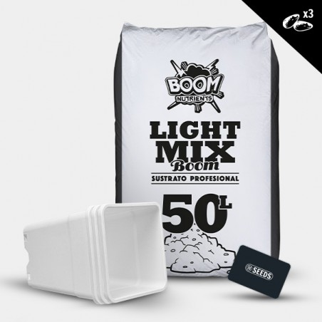 Günstiges Autoflowering Outdoor-Kit - Grow Cheap