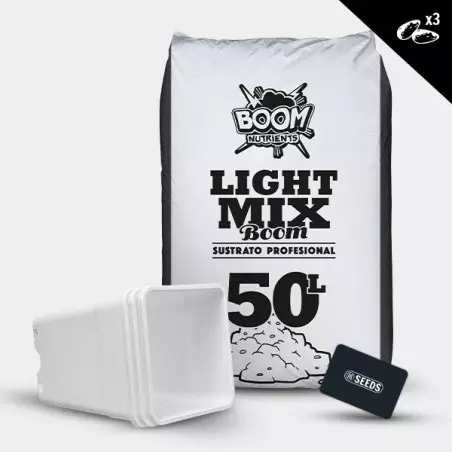 Günstiges Autoflowering Outdoor-Kit - Grow Cheap
