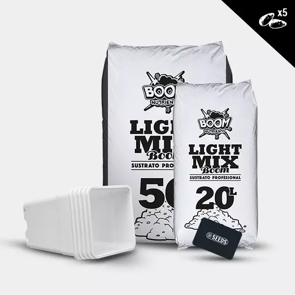 Gnstiges Autoflowering Outdoor-Kit - Grow Cheap