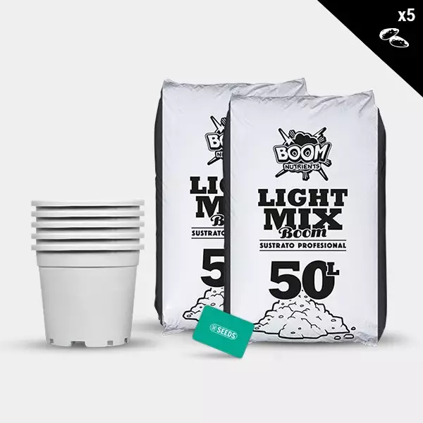 Feminized Outdoor Kit