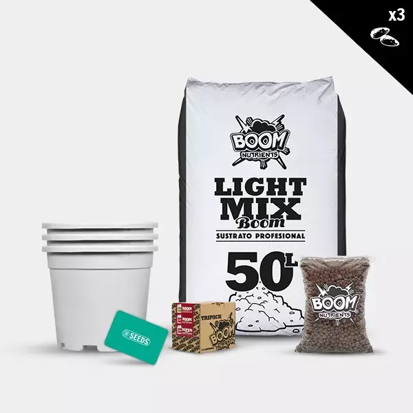 Feminized Outdoor Kit