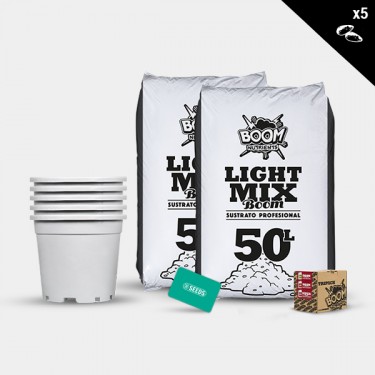 Feminized Outdoor Kit