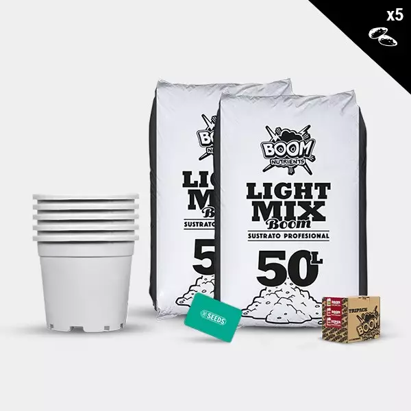 Feminized Outdoor Kit