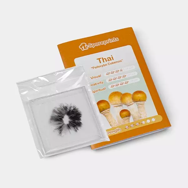 Thai-Sporenabdruck packaging