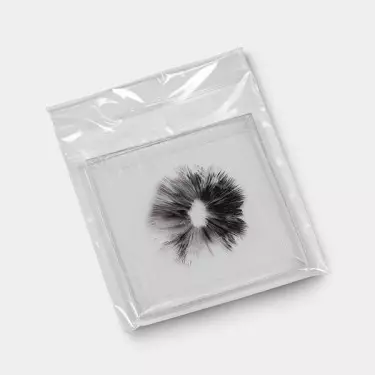 Thai-Sporenabdruck detail