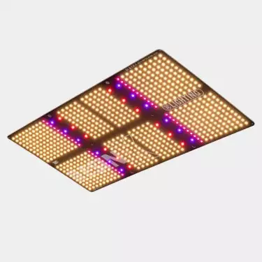 Dimmbare 200W V3.0 PRO RESINX GB Lighting LED-Platte - The Green Brand