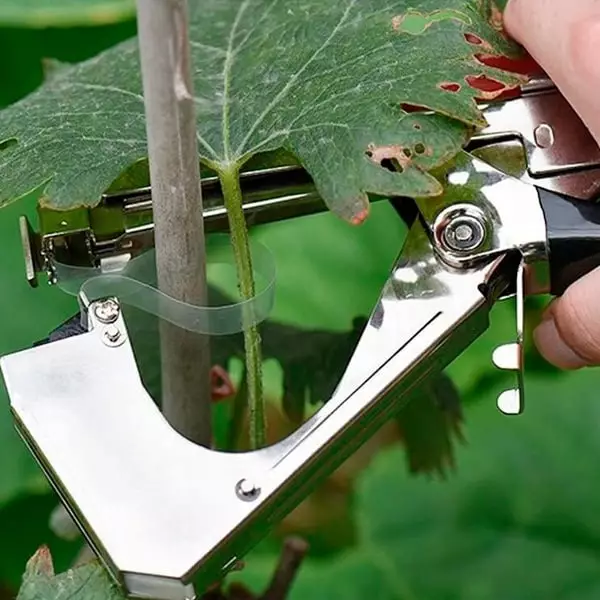 Pflanzenbinder Kamikaze Pflanzenbinder Kamikaze - GB The Green Brand