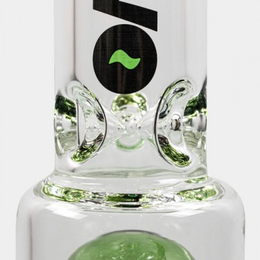 Beaker Tree Perc 35cm