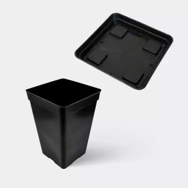 Komplettset Basis 60x60 - GB The Green Brand