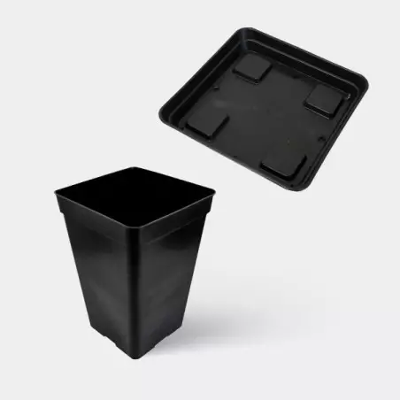 Komplettset Basis 60x60 - GB The Green Brand