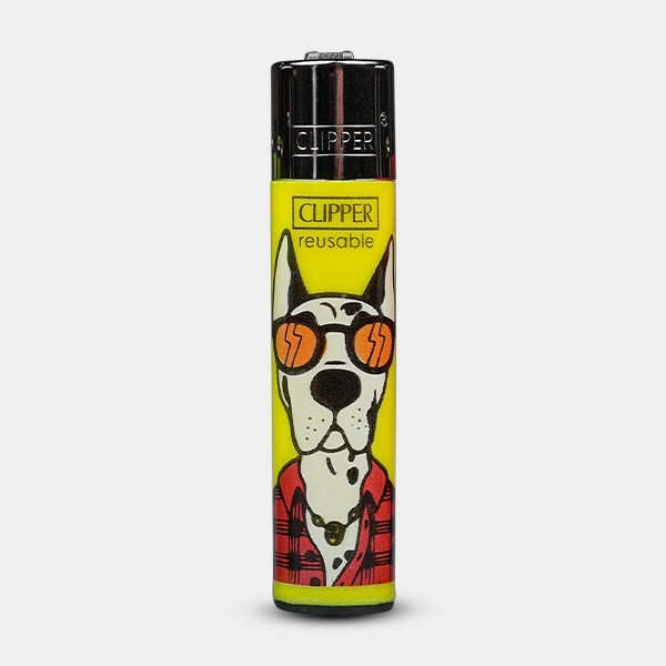 Clipper Fashion Pals Feuerzeug 1