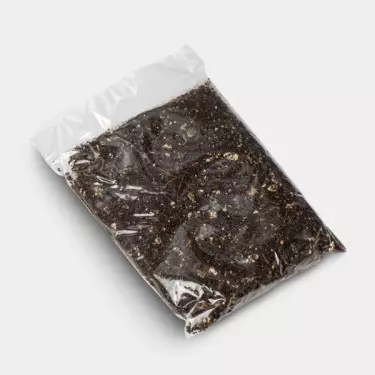 Bluey Vuitton Pilzzucht-Set Substrat