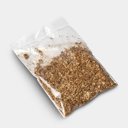 Mazatapec Mushroom Growkit〖 Visuelle Power 〗Intensiv erleben 🤩