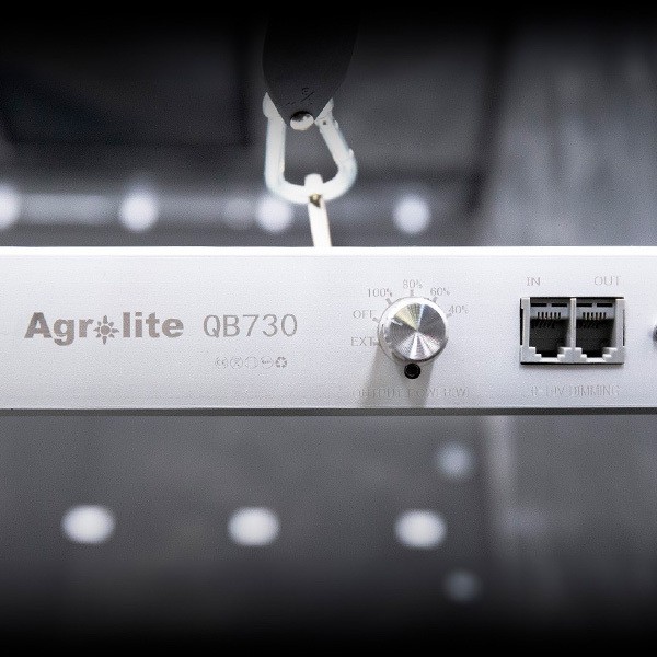 LED Agrolite QB 750W