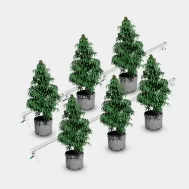 Under Canopy LED 120W Solux Pflanzen