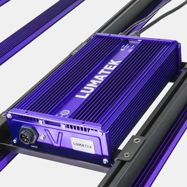 LED Zeus 600W Pro 3.1 Lumatek 💡🟣 - GB The Green Brand