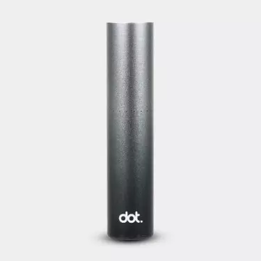 Dotmod Switch - Batterie silver obsidian
