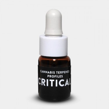 Terpene Critical von Cali Terpenes - GB The Green Brand