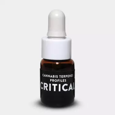 Terpene Critical von Cali Terpenes - GB The Green Brand