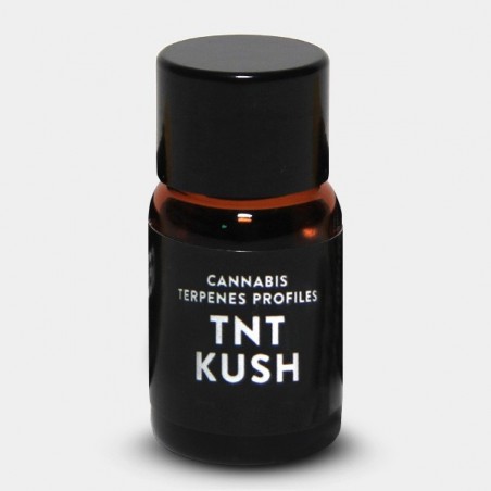 Terpene TNT Kush von Cali Terpenes - GB The Green Brand