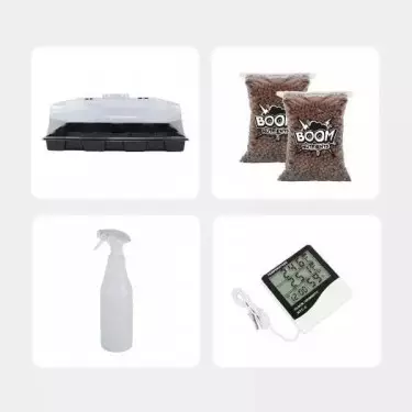 Günstiges Pilzzuchtset