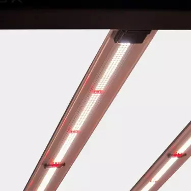 Galaxy Solux LED-System kaufen - Günstig Grow