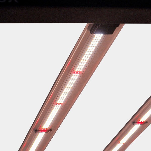 Galaxy Solux LED-System kaufen - Günstig Grow