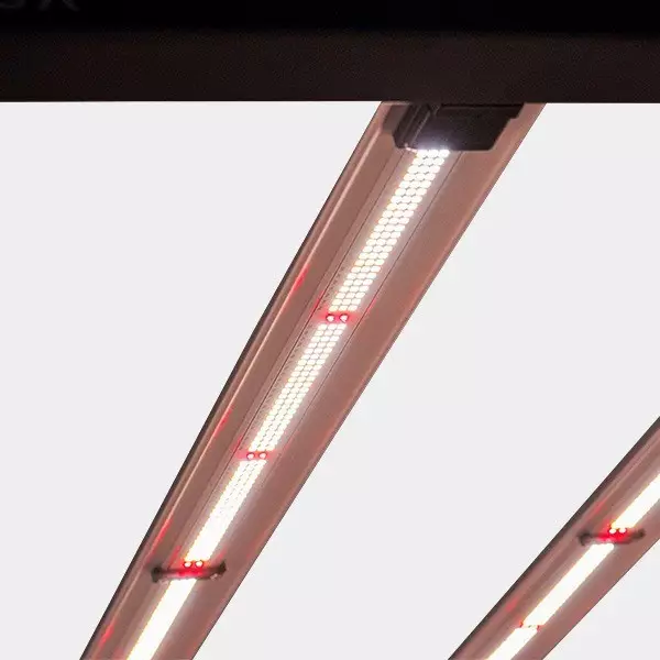 Galaxy Solux LED-System kaufen - Günstig Grow