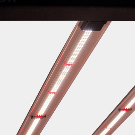 Galaxy Solux LED-System kaufen - Günstig Grow
