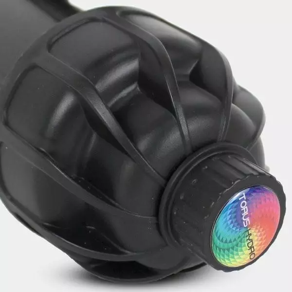 Torus Hydro pH-Regler