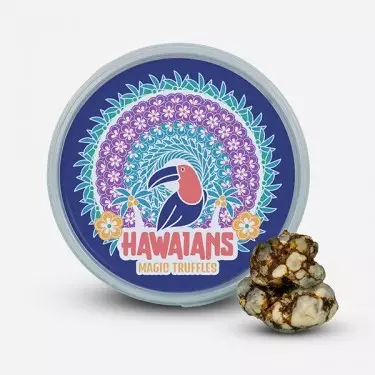 High Hawaiians 🌸 Trüffel mit dem höchsten Psilocybingehalt