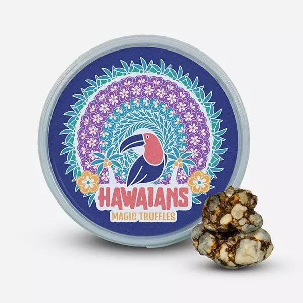 High Hawaian Truffles 15g/25g | Psychedelisches Erlebnis 🌀