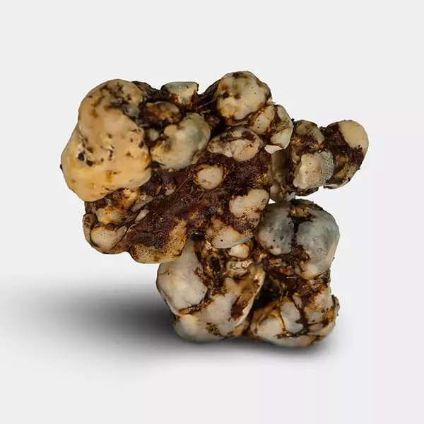 Sexy on the Beach-Trüffel 🌴💋 - GB The Green Brand