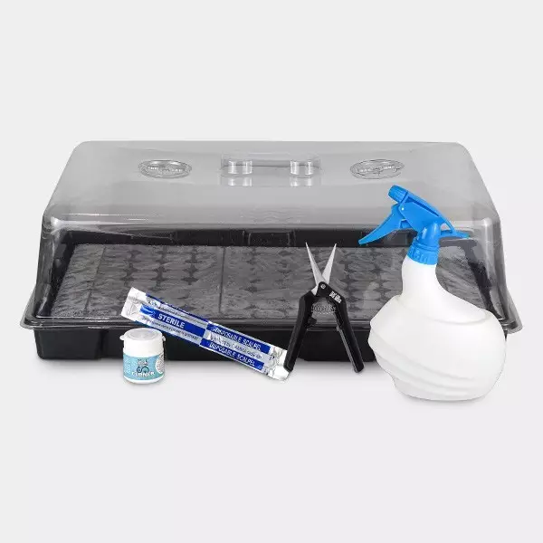 Boom Nutrients Stecklings-Set