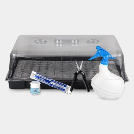 Boom Nutrients Stecklings-Set