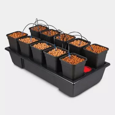 Wilma 10 Komplett Blumentöpfe 6L Hydrokultur - Günstig anbauen