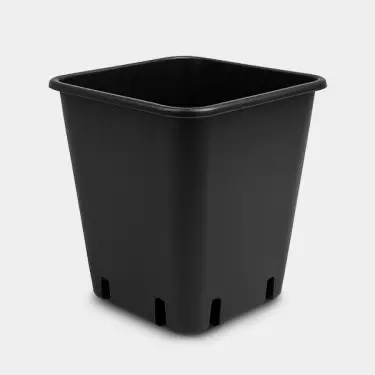 Blumentöpfe für Wilma