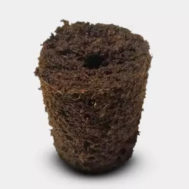 Bandeja Plugins Pro Xtract 104 Alveolen - Günstig Wachsen