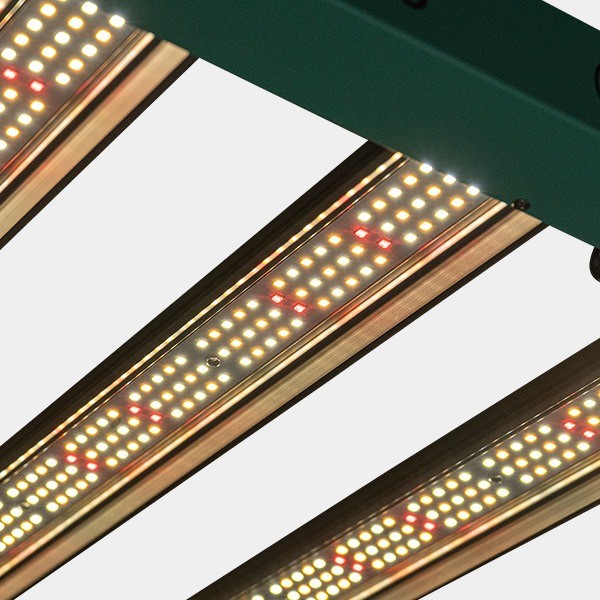 Dimmbares LED-System 240 W PRO GB Lighting Detailansicht eingeschaltet